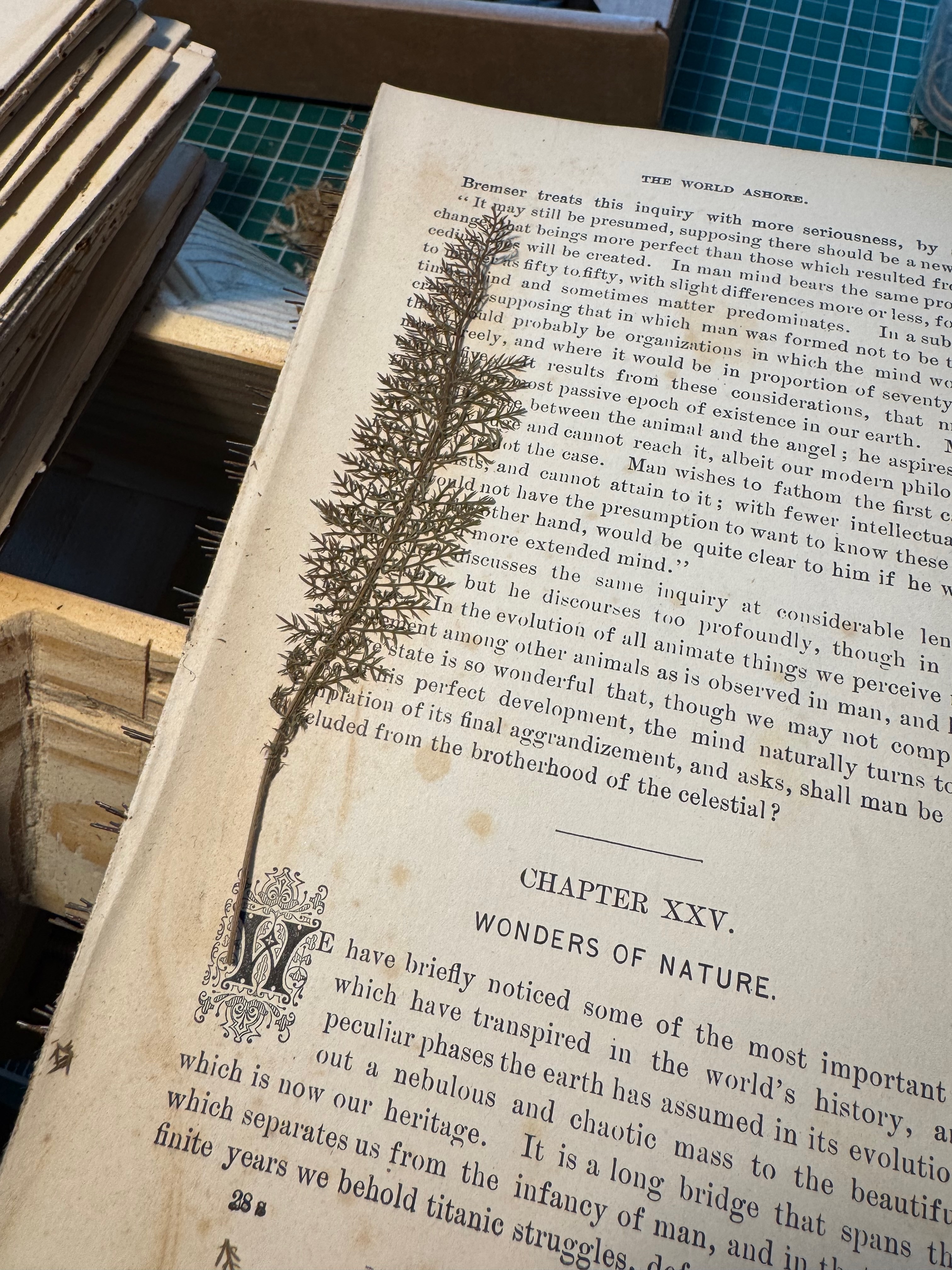 This was uncovered when separating signatures