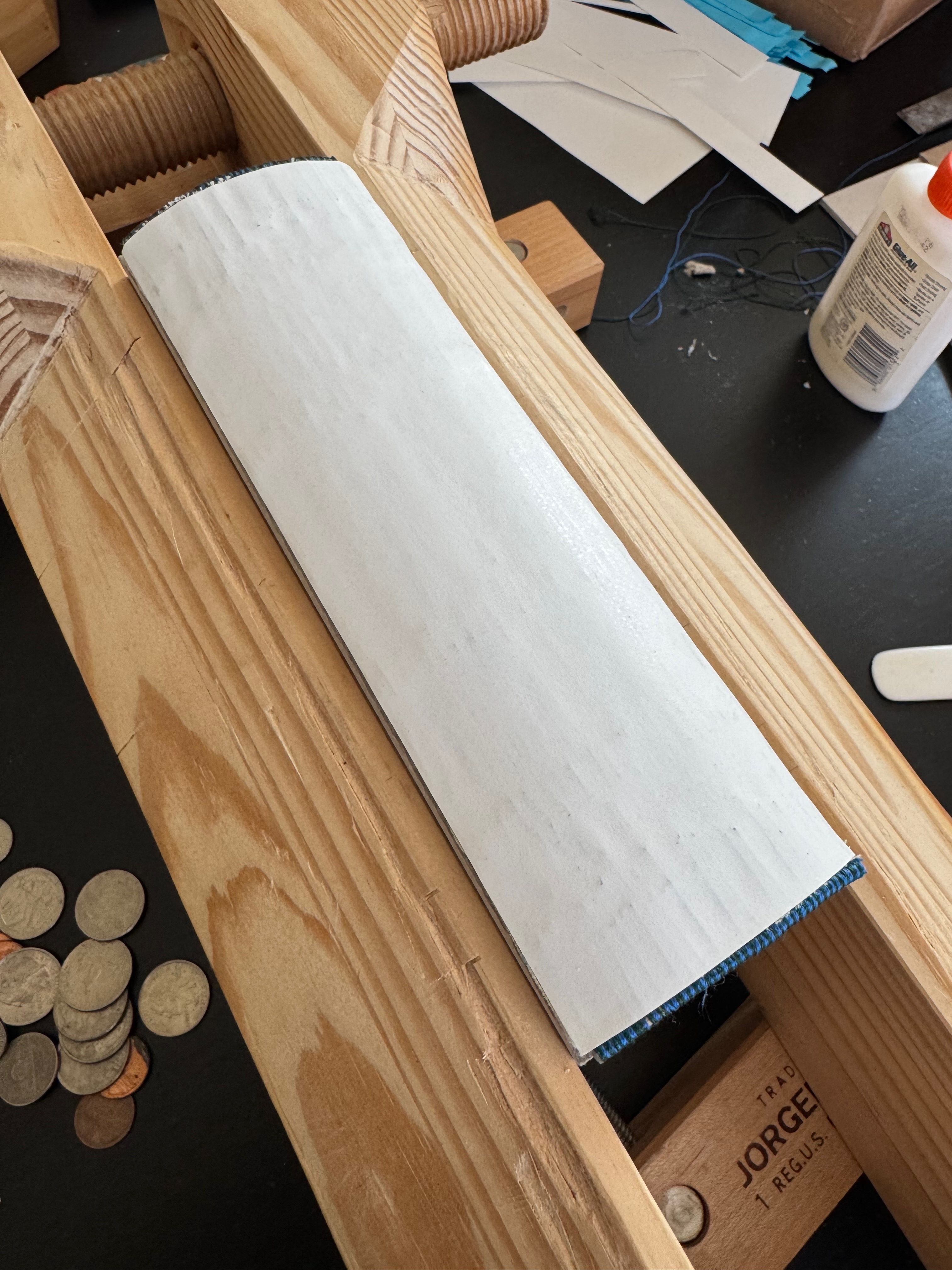 Spine stiffener